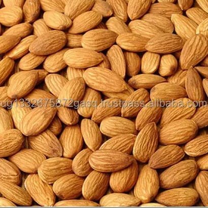 100% чистые натуральные органические орехи из крупнозернистого миндаля и необработанного миндаля для продажи
