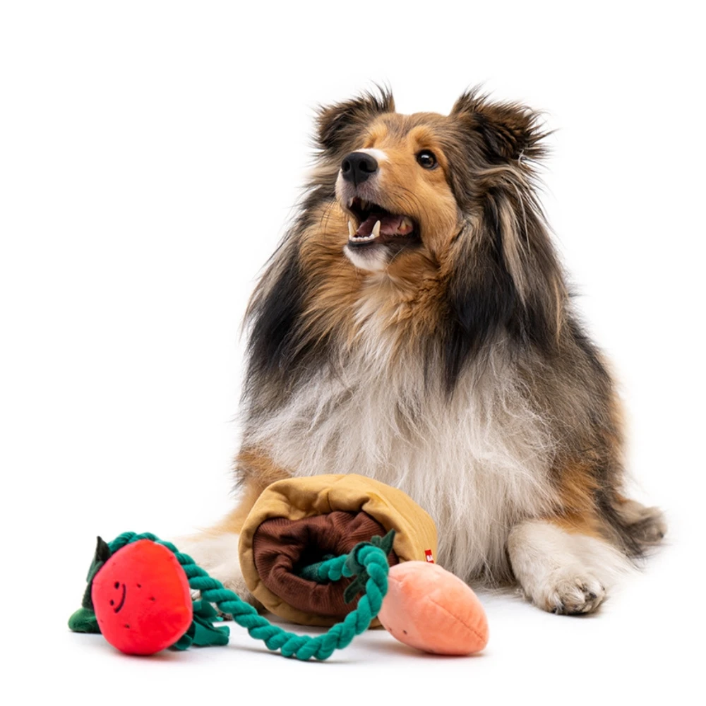 Pet Leakage Dog Puzzle Toy Bonsai Dog Food Hide And Seek Dog Snuffle Toys Juguetes Para Perro