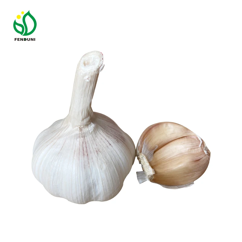 Gl Garlic Seeds Solo Garlic From China New Season for Planting 20kg Garlic