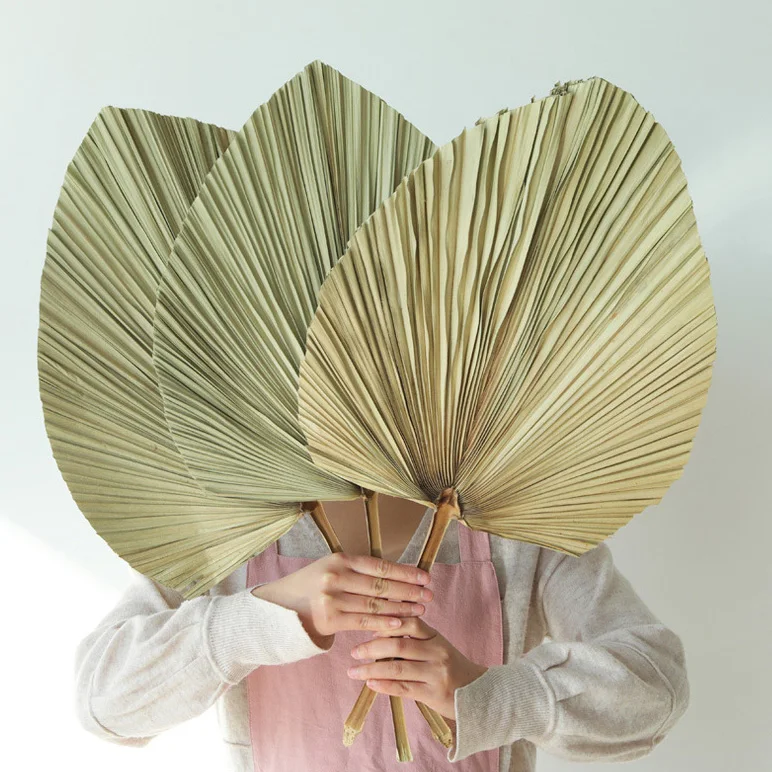 Wholesale Dried Artificial Fan Decorative Preserved Dried Leaf Palm Tree Leaves For Wedding Scene Decoration