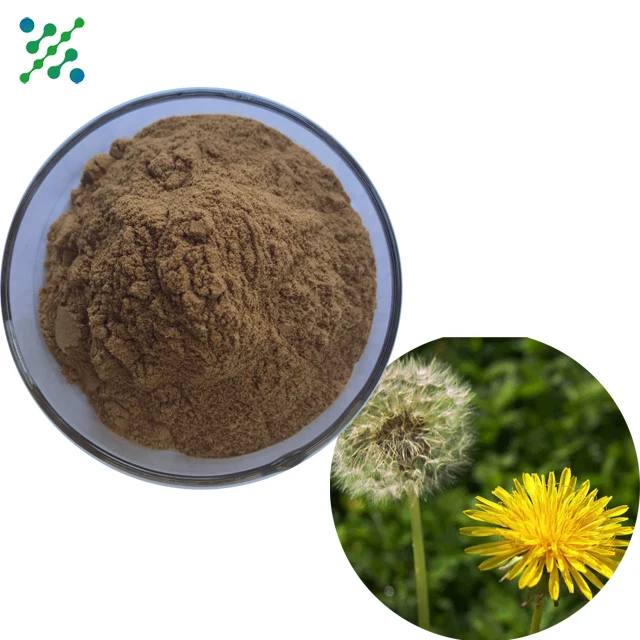 Herbal Extract Dandelion Root Extract 3% Flavones