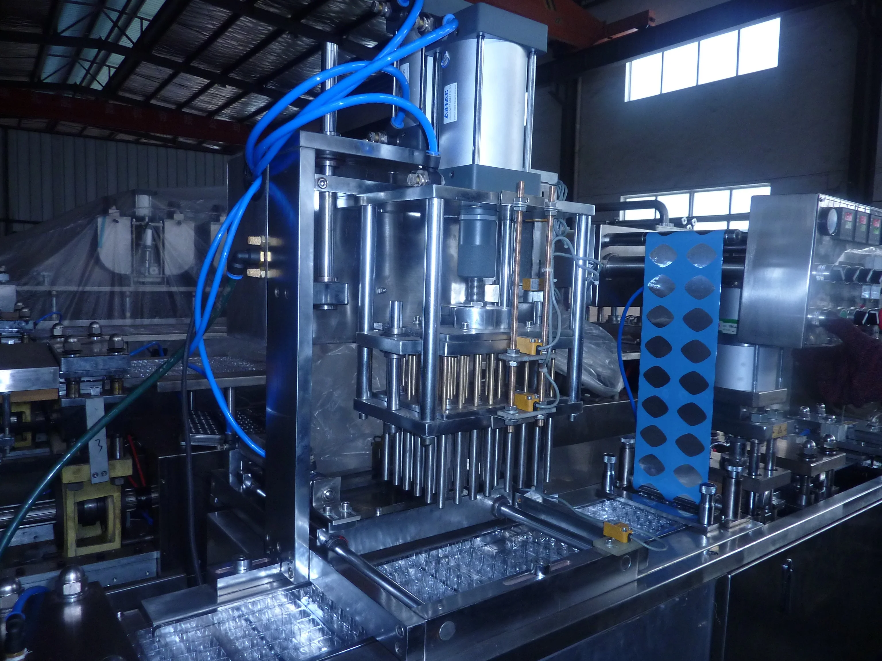 
New Type Red Worms Frozen Herbs Pouring Type Automatic Fish Food Blister Packing Machine 