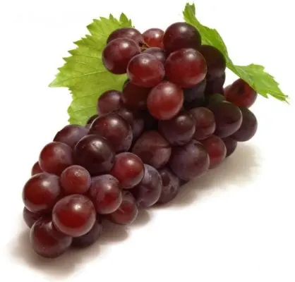 Fresh Grapes Seedless Grapes, Seedless Grapes, Grapes with Seeds Green Grapes and for sale