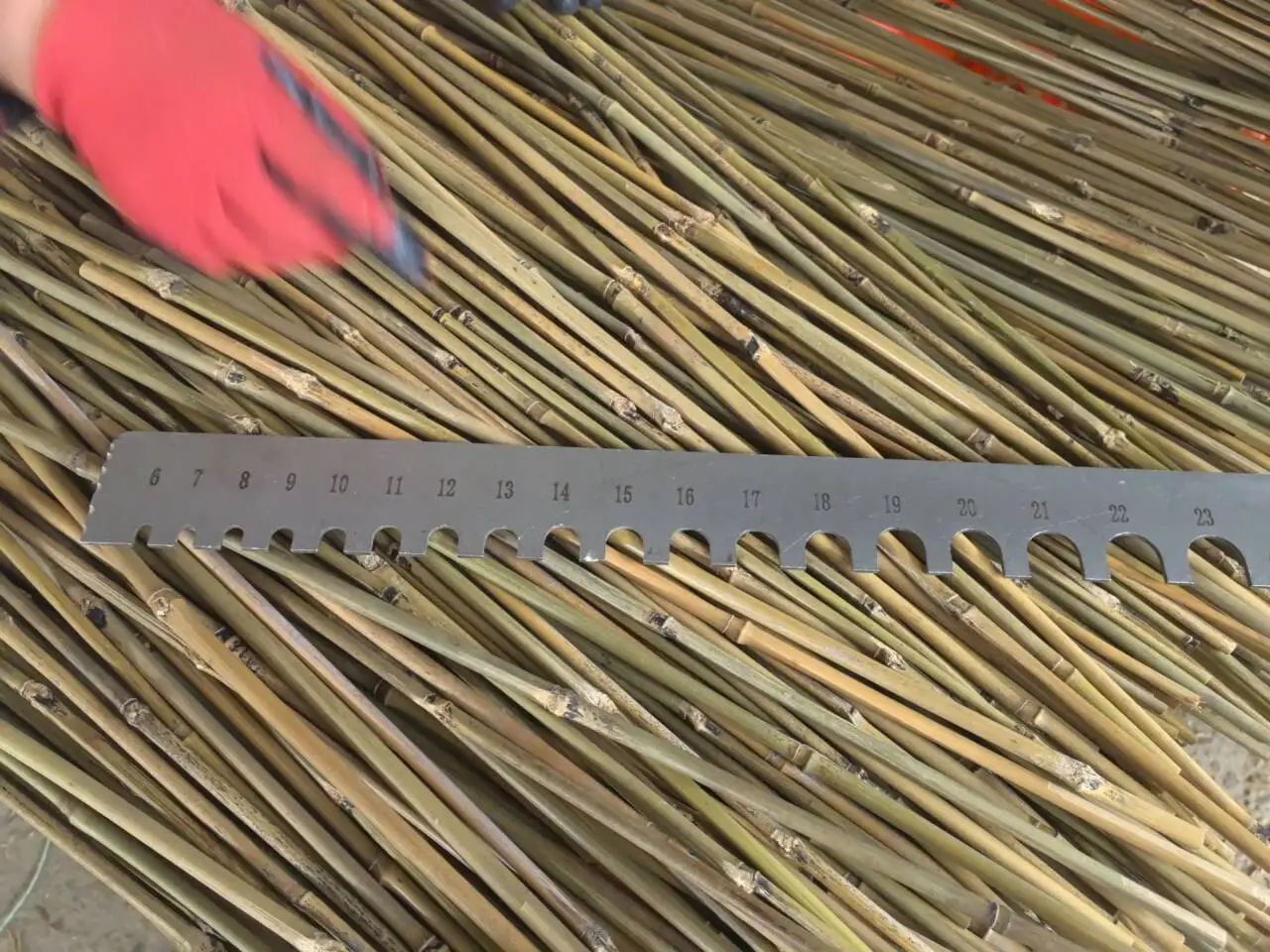 Wholesale Natural Dry Straight Raw  Bamboo plant support