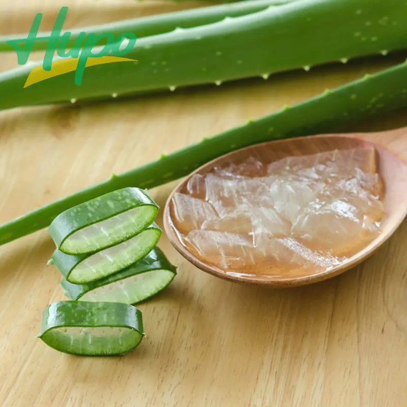 CHINA TOP 1 ALOE VERA GEL AND PULP JUICE SUPPLIER HUPO ALOE VERA SPECIALIST