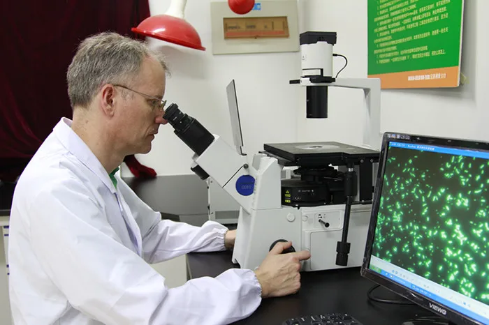 Forage Inoculants Probiotic Silage Inoculant Bacteria and Enzyme Probiotic Silage Fermentation Bacteria for Ruminants