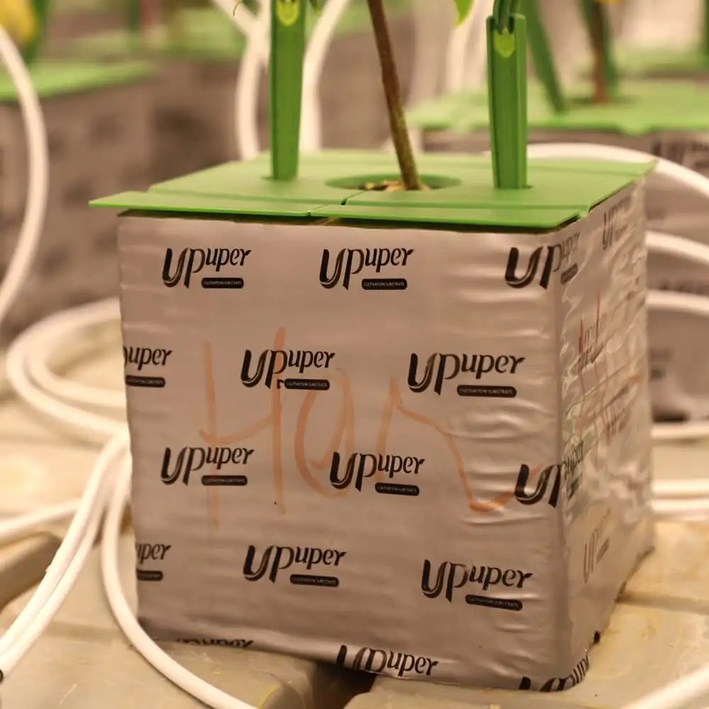 UPuper commerical indoor grow hydroponic media rock wool hydroponic grow blocks
