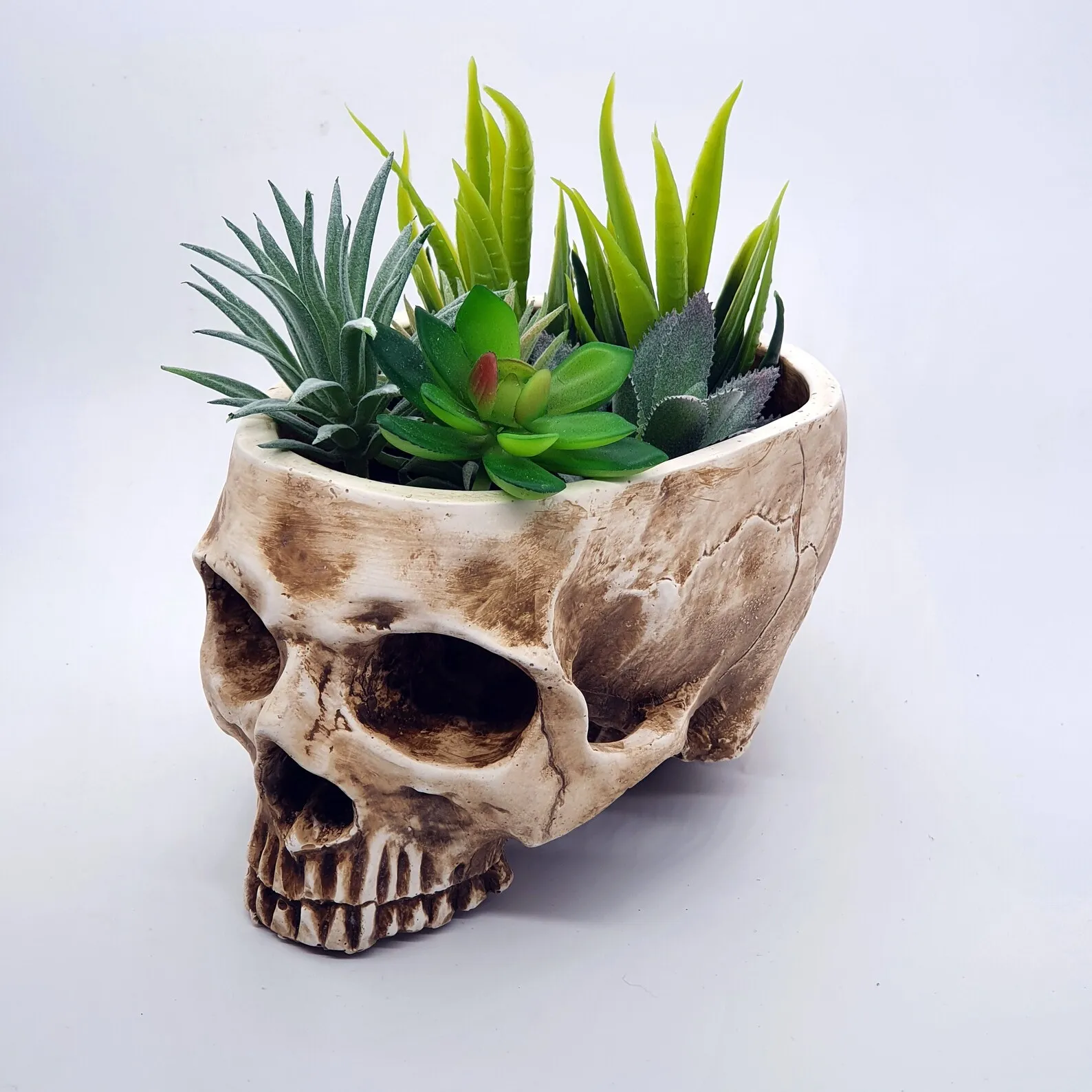 Amazon Top Cool Gift For Friends High Strength Resin Flower Pot Skull Shaped for Home Office Desk Decorations Flower Planters