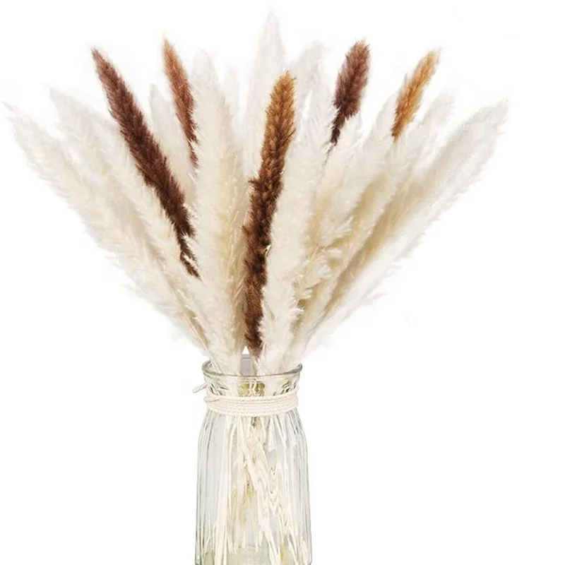 
Best Price Natural 45cm Small Natural Color Pampas Grass for Flower Arrangement 