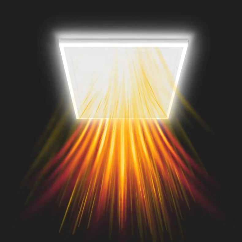 Byecold Far Infrared Electric Radiant Panel Heater 800W with LED Panel Light