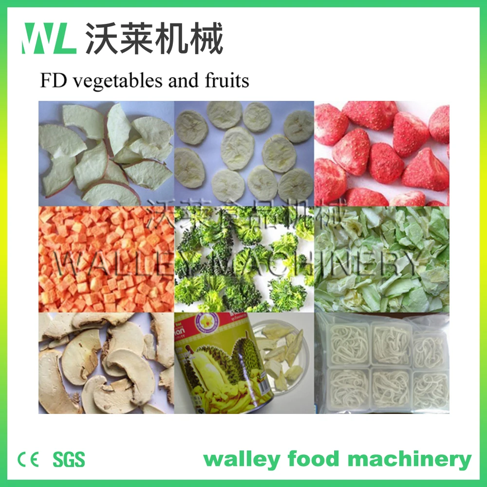 Factory Supply Price Industrial Prawn Vacuum Freeze Dryer Aquatic Vegetable Fruit Strawberry Vacuum Lyohpilization Machine