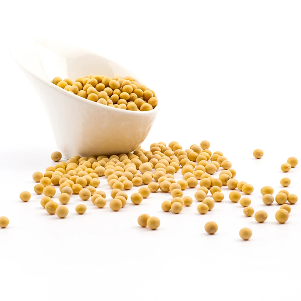 Vacuum Packed Natural Non-Gmo Soybeans Soya Bean Soybean