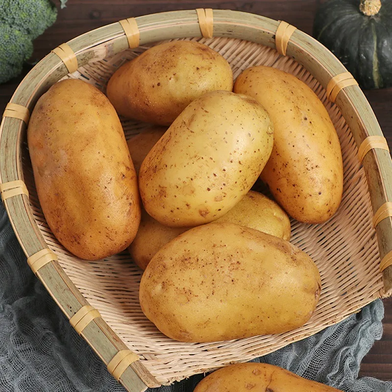 Export Fresh Potato Yellow Potato Fresh Vegetables Potato Wholesale to Overseas
