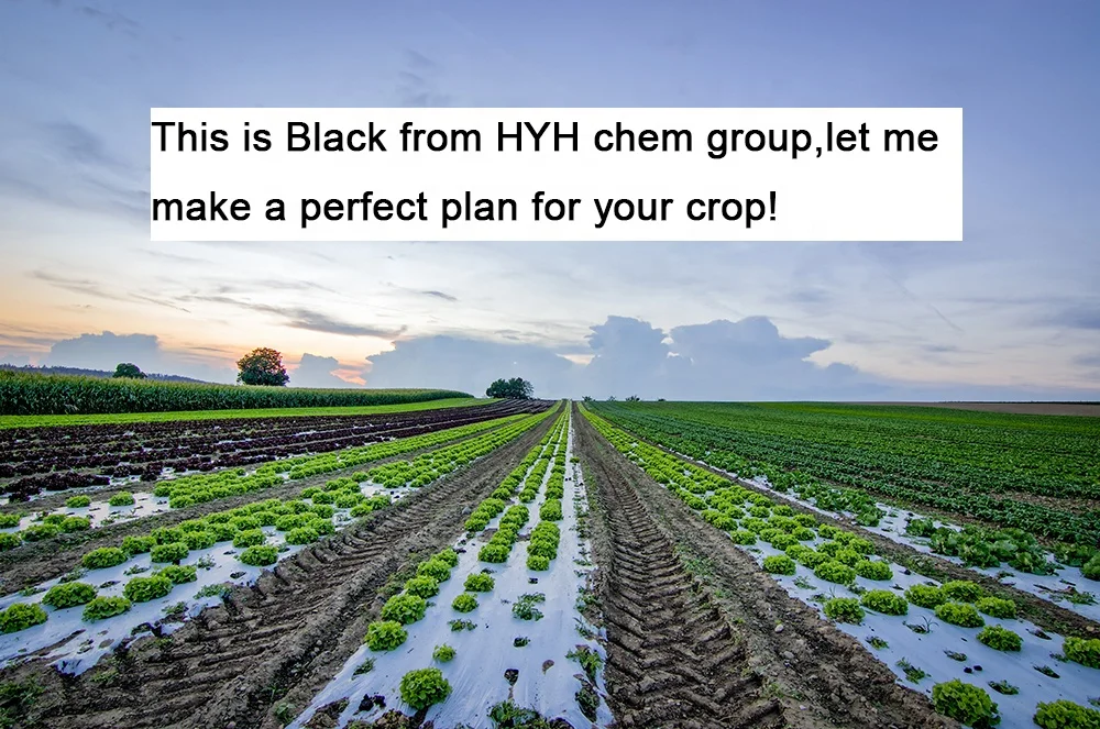 Экологически чистый сельскохозяйственный продукт, 100% растворимый в воде азотобактерия, chroococcum, стимулирует рост биоудобрений, пробиотики, самопроизводитель nitr