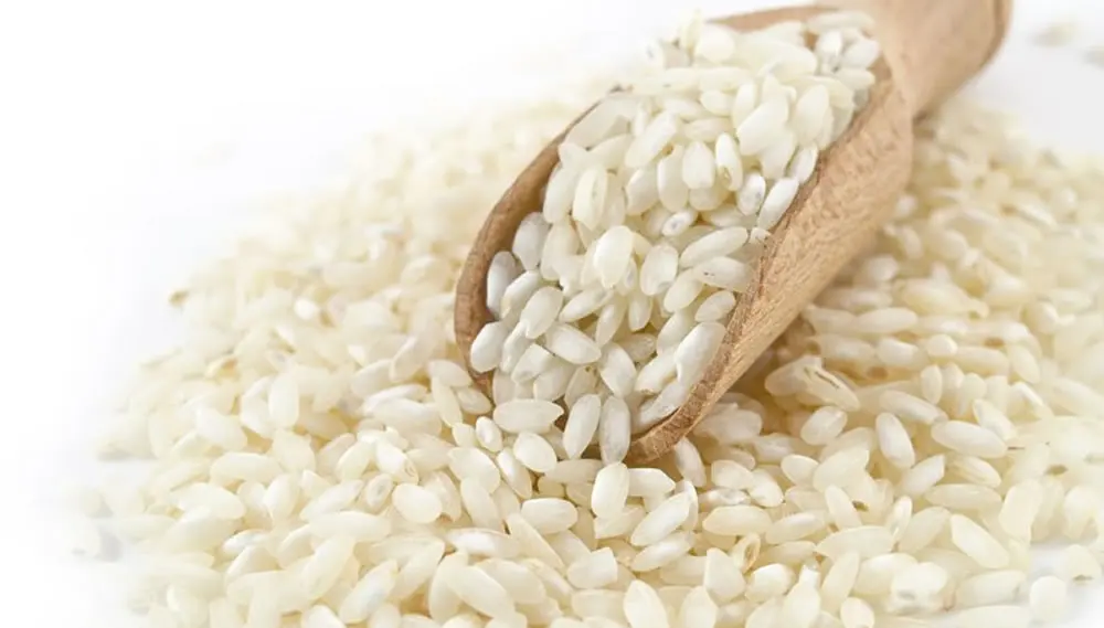 Artificial rice production making machine fortified rice making machine couscous making machine