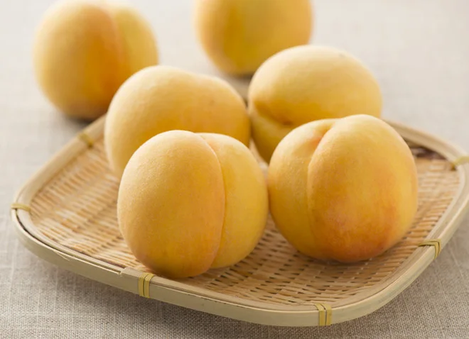 Best price -  Best canned yellow peach with high quality from Vietnam (Whatsapp: +84975262928, Helen)