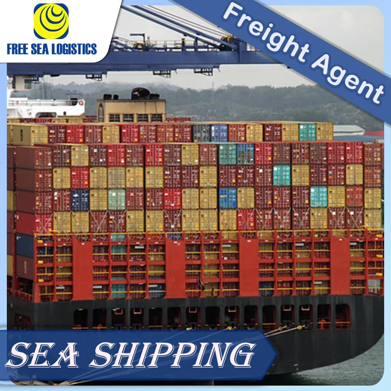 The best  shipping services from China to Saudi Arabia Dubai Qatar ddp shipping