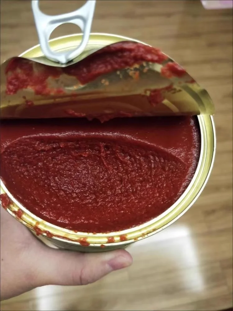 2024 NEW Canned Easy Open 22-30% Tomato Sauce 850g Tin Tomato Paste Manufacturer