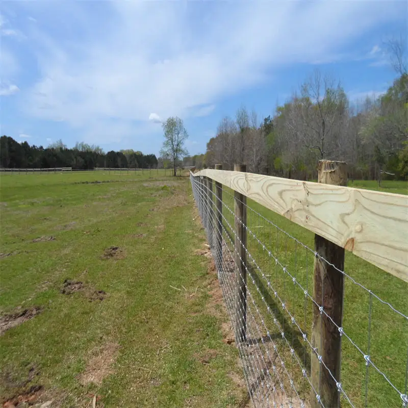 China Manufacturer Wholesale Sheep Fence Goat Fence Field Fence
