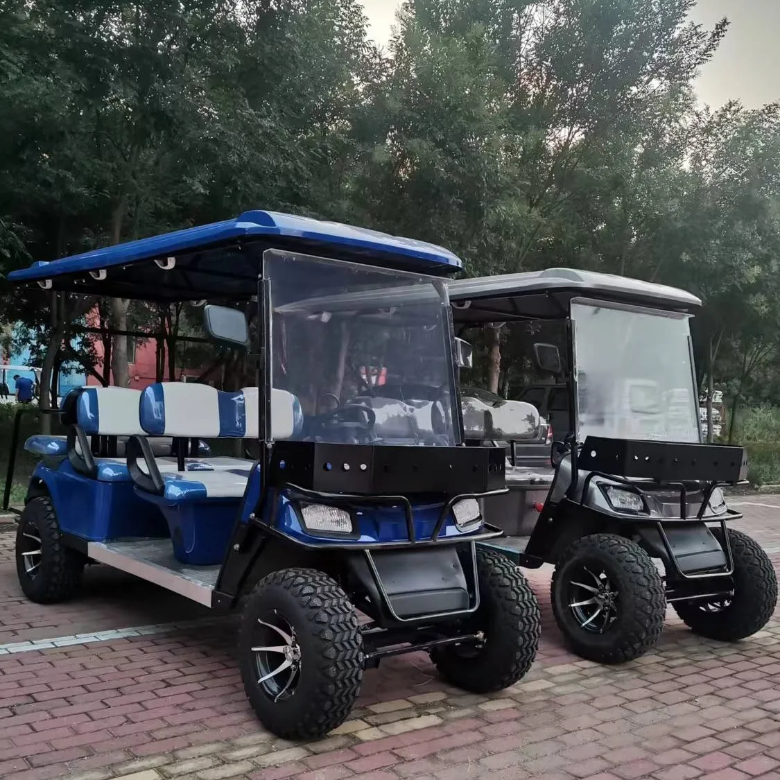 Tong Cai 5kw Motor 48V Electric Utility Vehicle 90km Driving Range 4-2 Seaters 6-Seater Buggy72V Battery Voltage Golf Cart