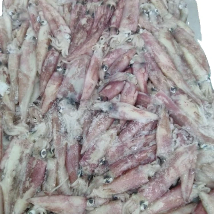 Good Sale Frozen Needle Squid