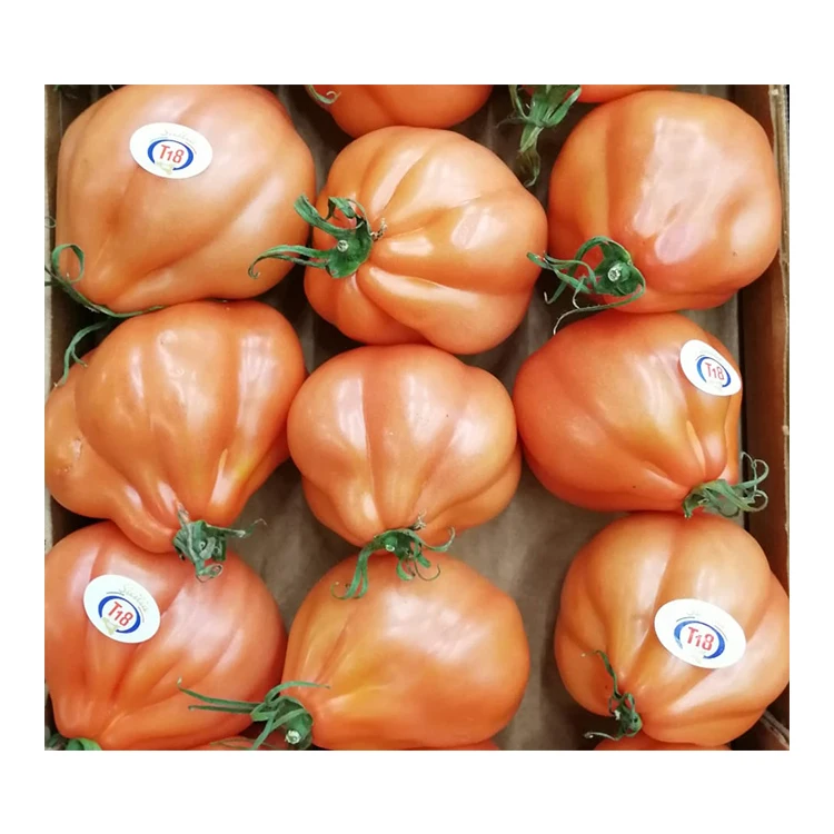 Italian Cuore Di Bue Oxheart Fresh Tomatoes Italy Tomato Fresh Vegetables