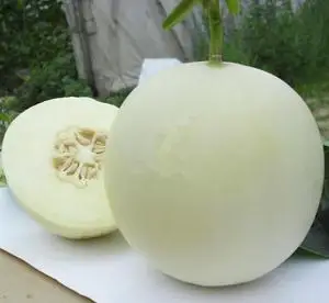 
Round soft white hybrid sweet melon F1 seeds 100g/bag 