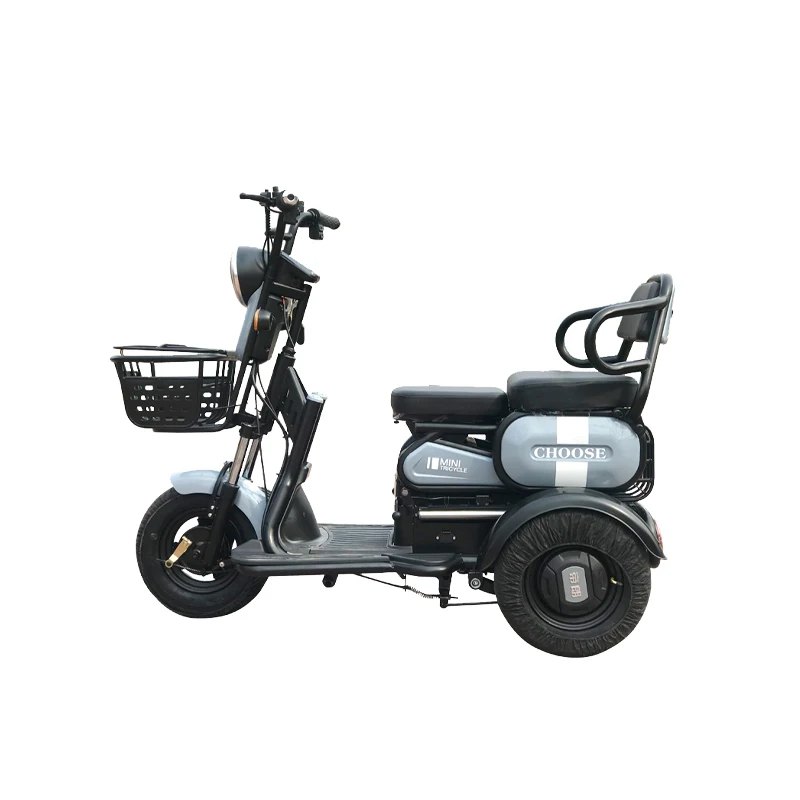 Wholesale New Speed Hot Selling 3 Wheel Adults Battery Powered Battery Cargo Bike Tricycle Electric