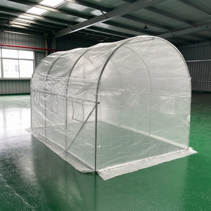 Sustainble Single Span White Plastic Fim Vegetable Growing Green House Galvanized Steel Greenhouse for Sale