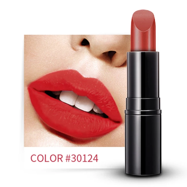 OEM Beauty makeup Professional long lasting lipstick Private Label matte lipstick palette