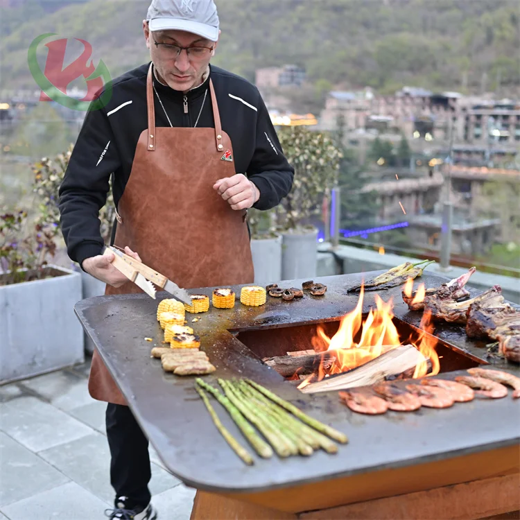 camping barbecue grill grill pour barbecue gas grill barbecue