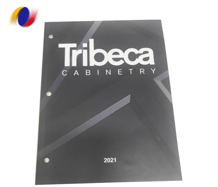 Professional Low Cost Brochure / Catalog / Magazine Printing booklet printing