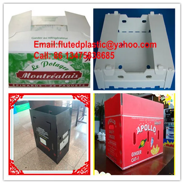 2mm 3mm 4mm 5mm 6mm polypropylene plastic corrugated board/sheet