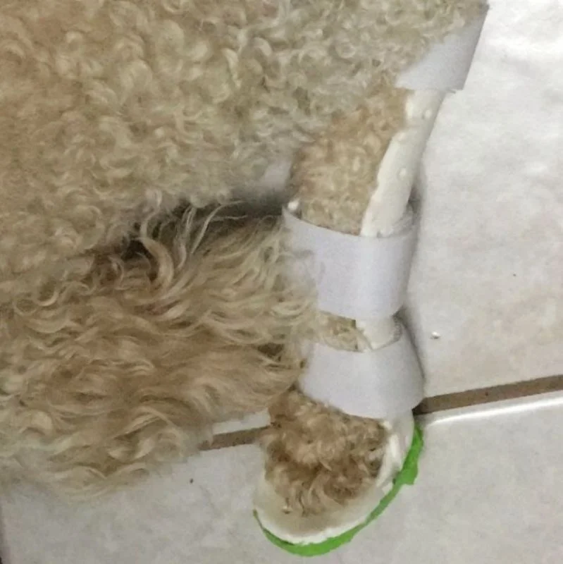 Flexible Comfortable Orthopedics Thermoplastic Splinting Sheet Rehabilitation Brace for Pet Dog Cat Leg Fracture