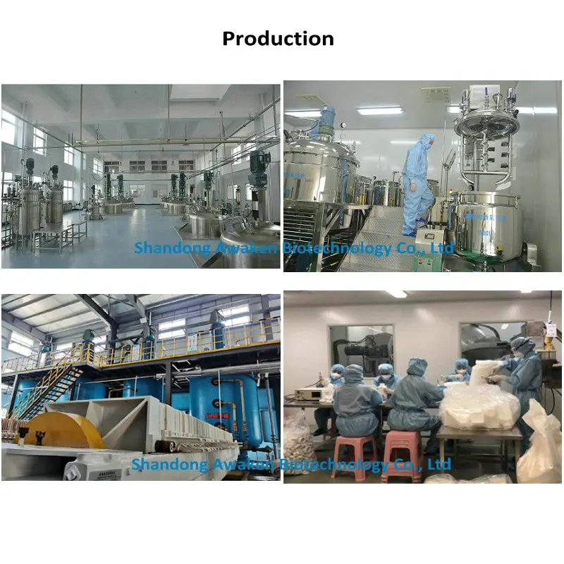 Agricultural Raw Material Polyglutamic Acid Powder for Fertilizer