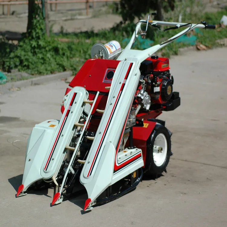 Europe sesame harvester oat reaper binder machine wheat cutter reaper binder in Italy Portugal