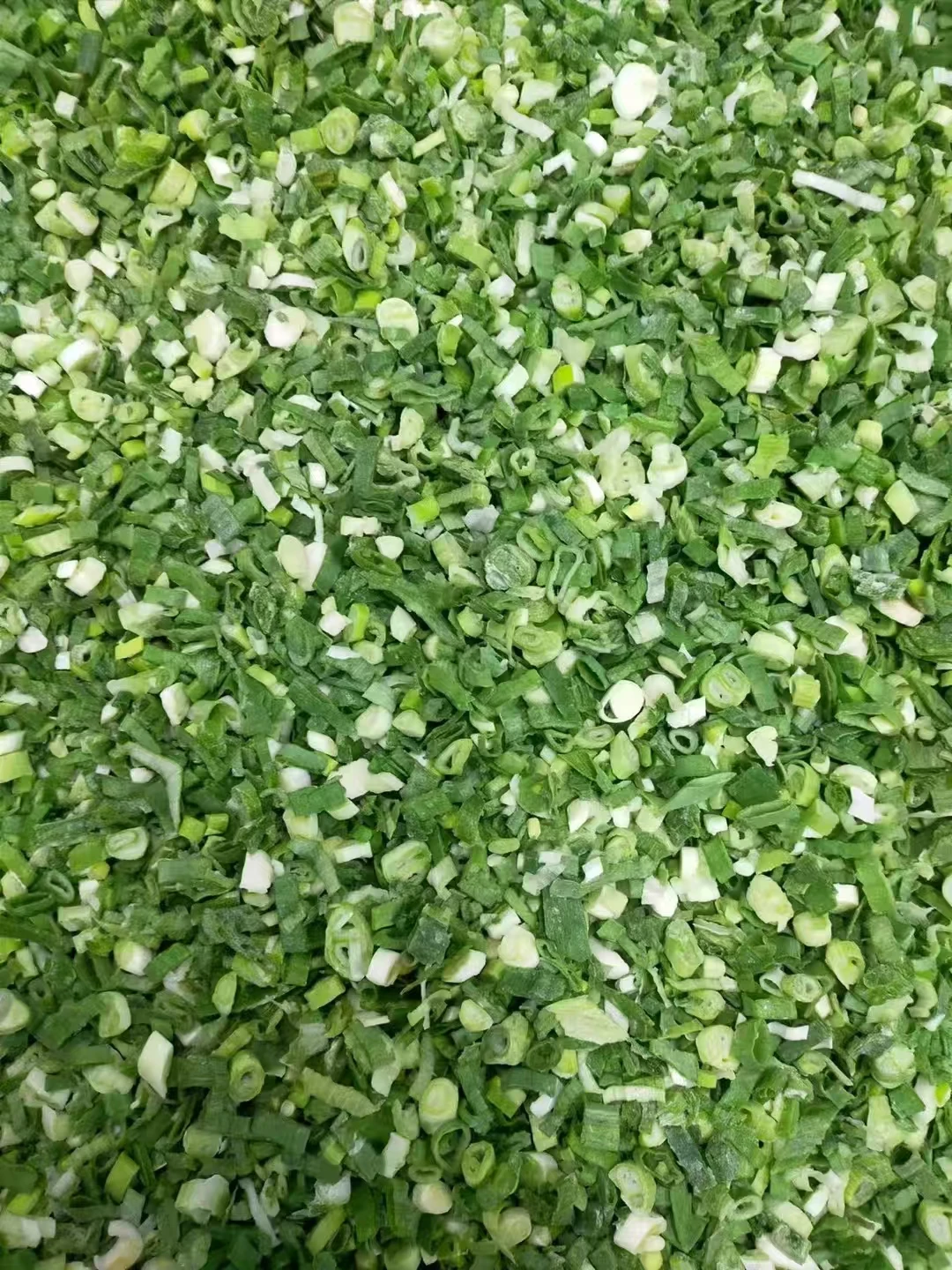 Hot Sale  4-6Mm Iqf Cut Green Onions  Shallot Onion For Stir-Fry  Frozen Green Onions