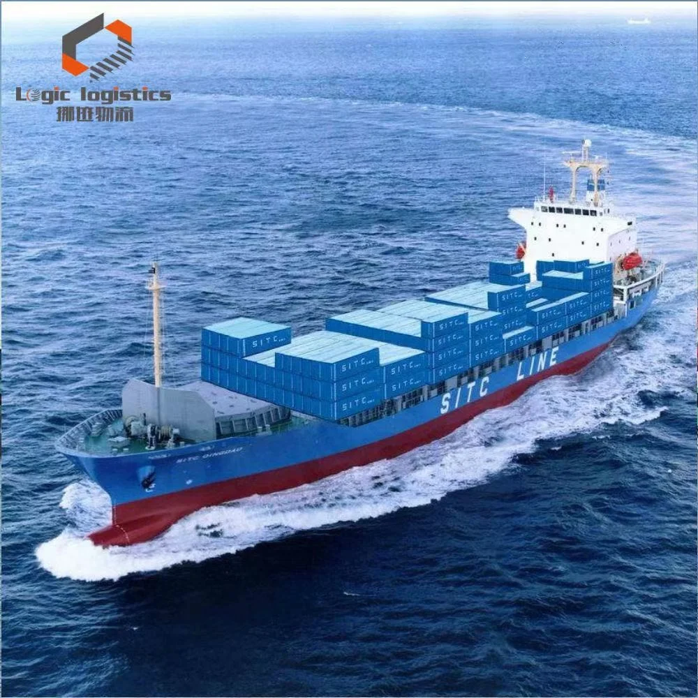 12 years DDP China to Saudi Arabia UAE  Oman professional cif fcl lcl freight forwarder Shipping agent