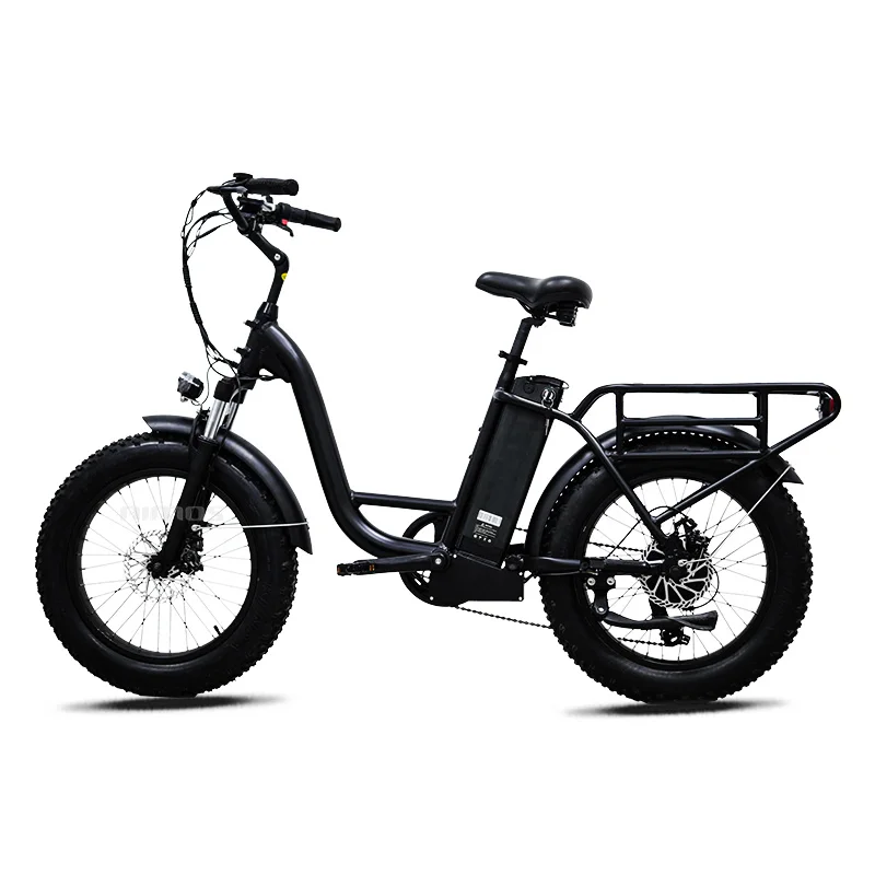 woman electric bike
