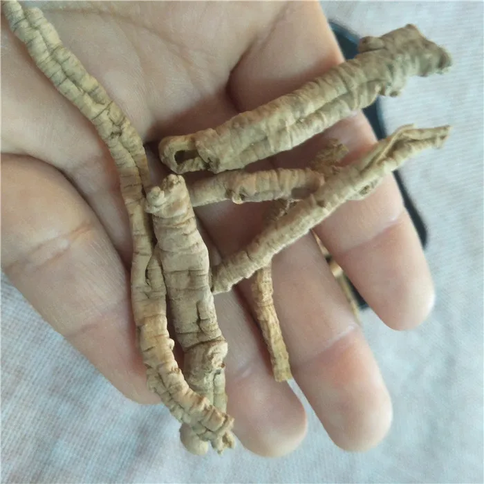 
Yuan zhi Chinese supplier natural dry polygalae radix polygalae for sale 