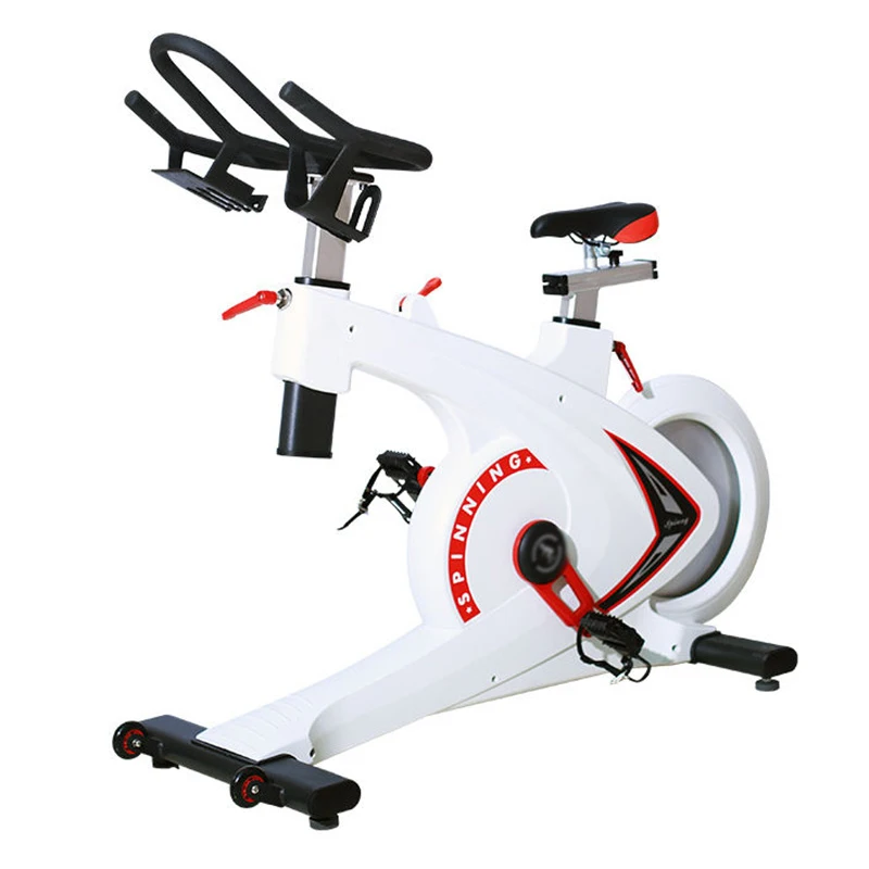 
Home Gym Cardio Exercise Bike Belt Drive Indoor Cycling Bike Adjustable Stationary Bicycle Bike with IPad Mount 