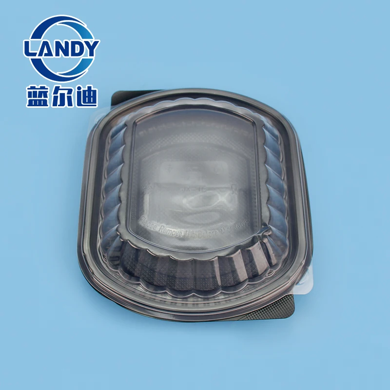 Disposable Plastic Fruit Container Box Food Packaging Boxes Disposable Transparent Lid