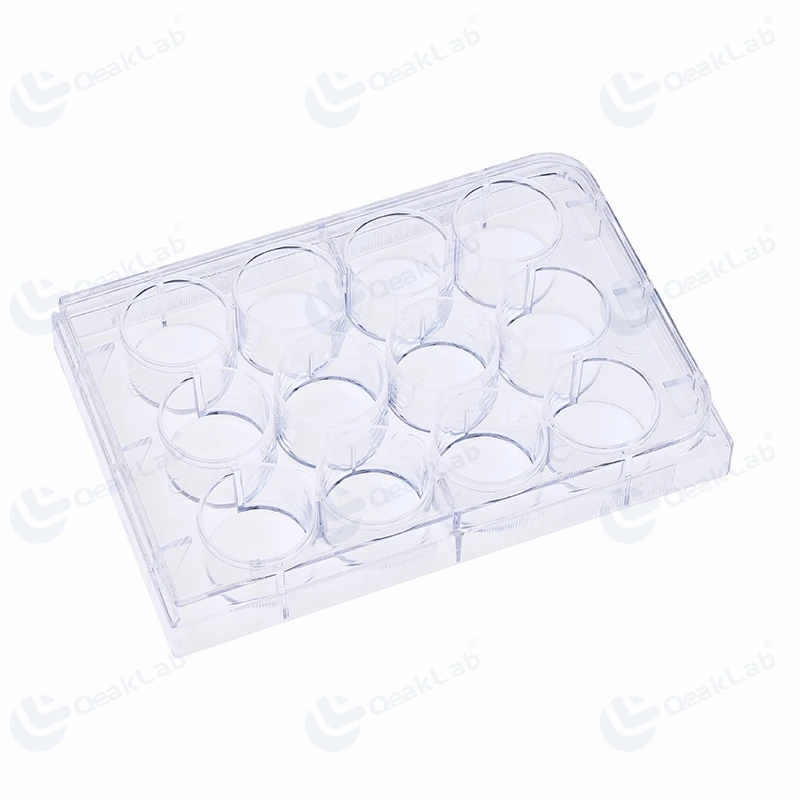 Stackable Petri Dish 100mm Sterilized for Cell Culture