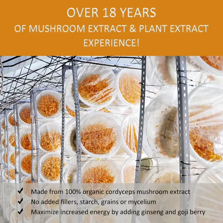 Cordyceps Militaris Extract Powder 0.3%cordycepin Quality Cordyceps Militaris Extract 3%cordycepin Chinese 1Kg Cordyceps Powder