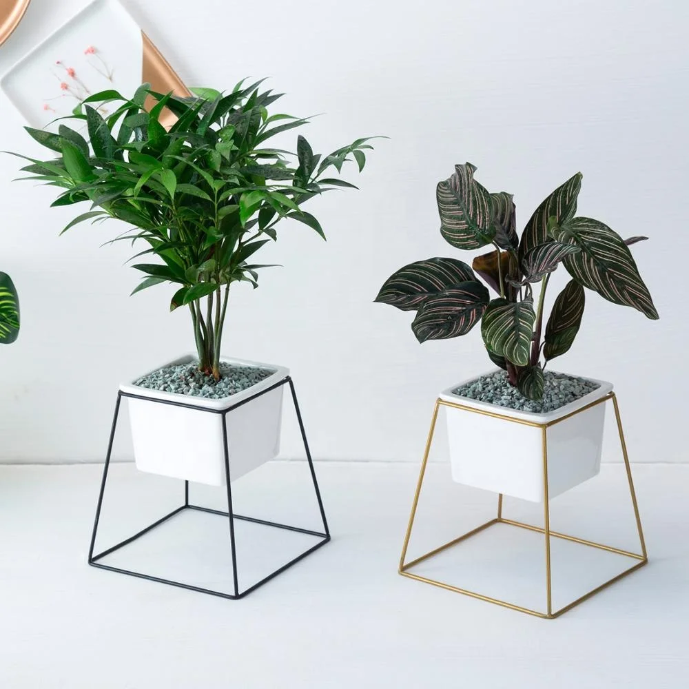 
Nordic Simple Iron-Art Ceramic Four-Square Trapezoid Multi-flesh Flower Frame Ins Green Flower Planter 