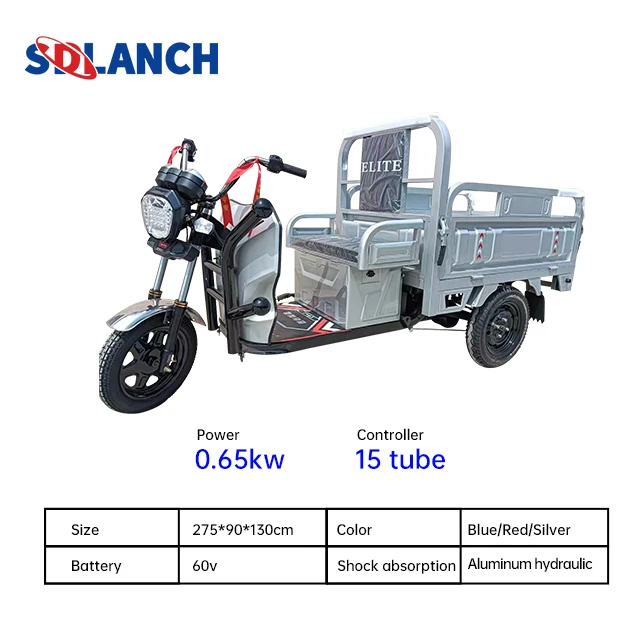 3 Wheel Electric Scooter Electric Caro Trike Electric Tricycle Hot Selling Electric Cargo Bike