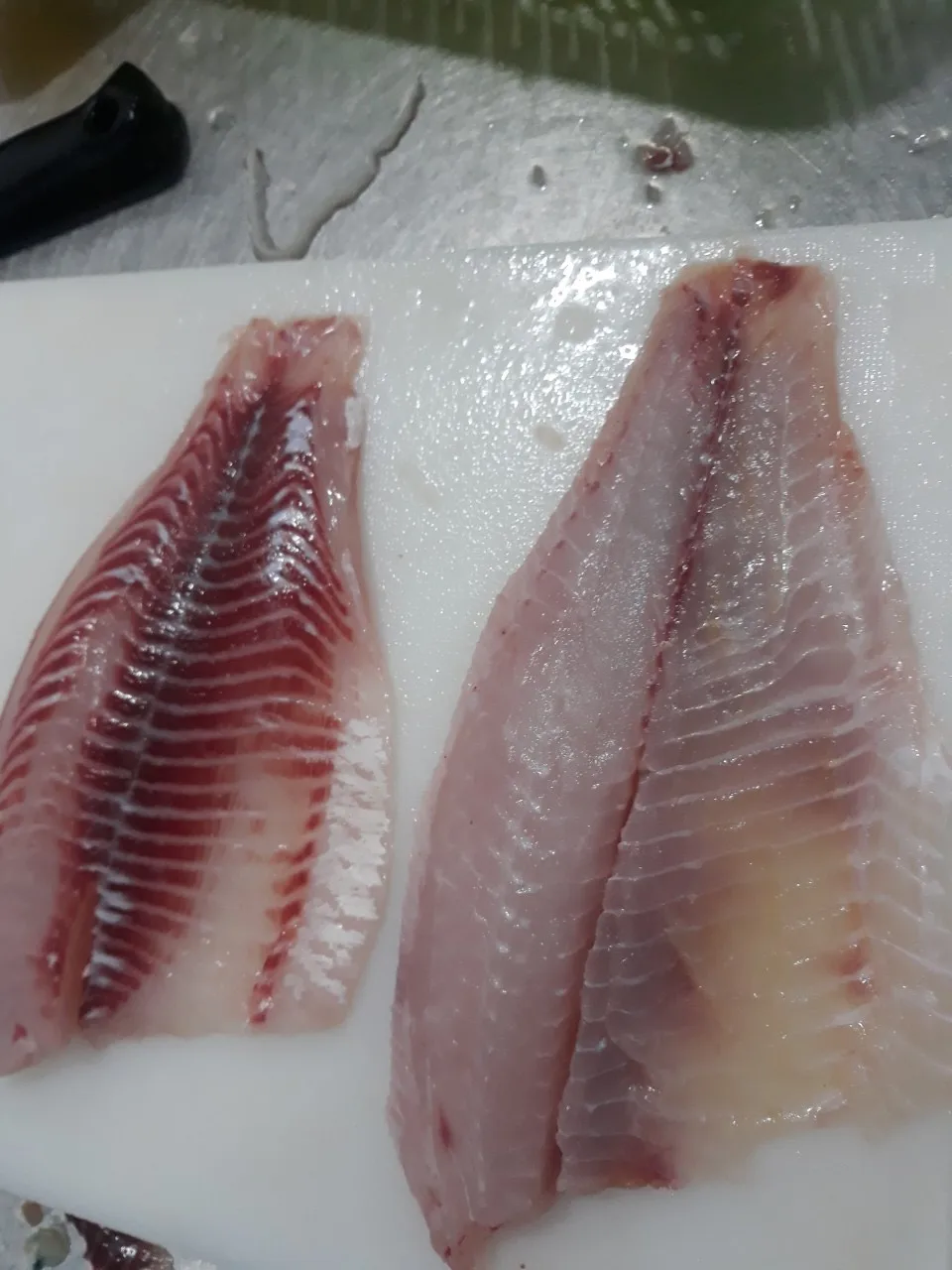 Новый сезон цельная круглая замороженная черная тилапия