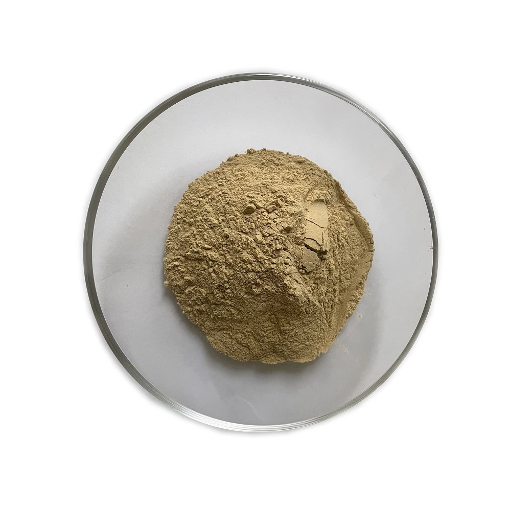 High Quality Bulk Health Care Products Raw Materials Bovine Bile Gall Ox Gallbladder Powder
