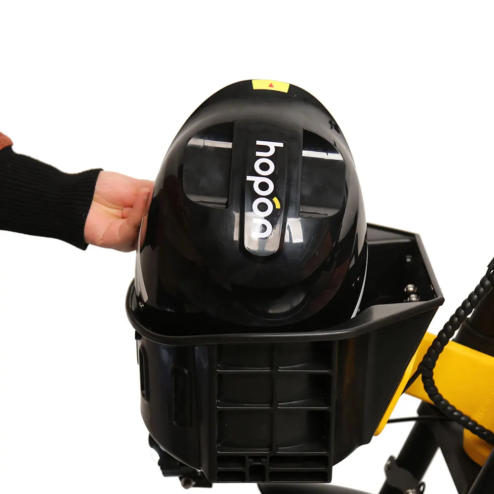 TXED cargo sharing bike electric 3 wheel 250W motorcycles electric bicycle for delivery for adult