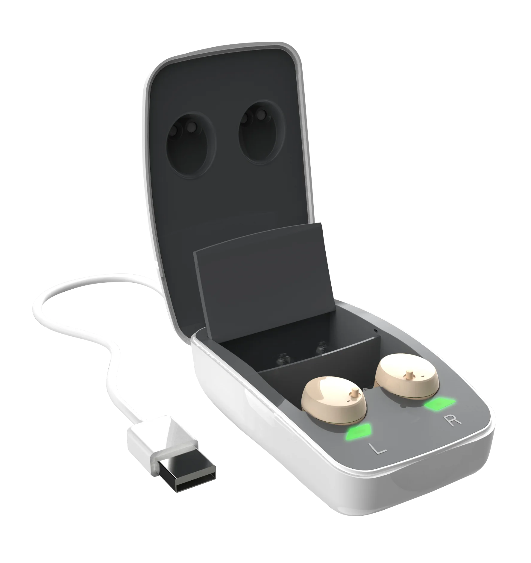 Digital Hearing Aid 2 Channels CIC Audio Sound Amplifier for Sales